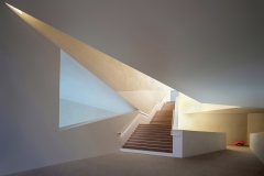 Light-and-Shadow