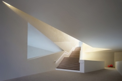 Light and Shadow