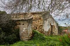 C1-DSCF5967