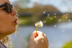 Pusteblume, Hinze, 17 Punkte