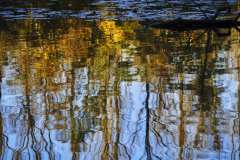 Unruhiges-Wasser, Gillen, 16 Punkte