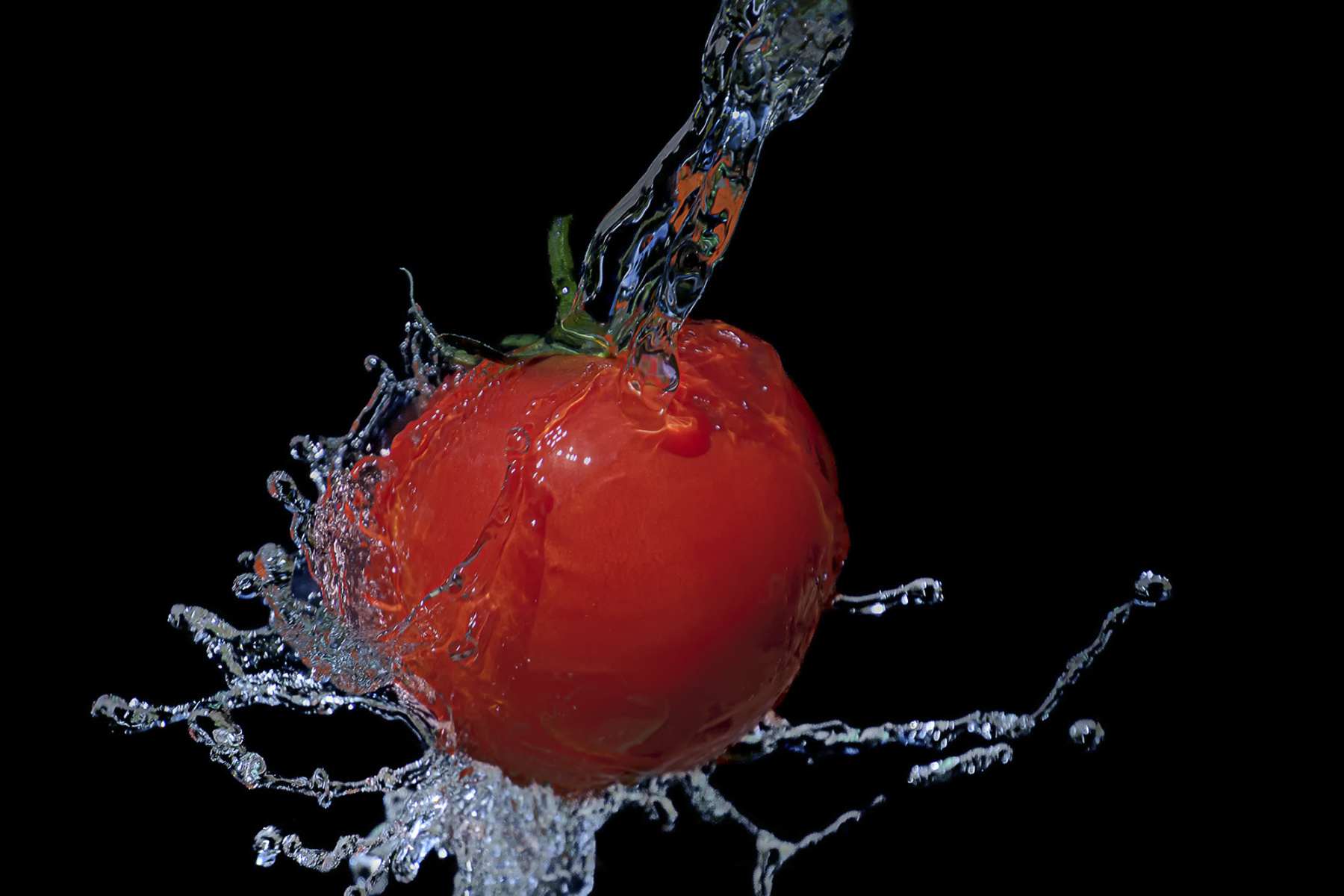 Wassertrifft Tomate, Prediger, 19 Punkte
