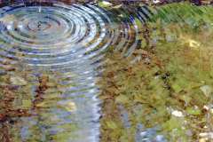 Water circles, Beck, 13 Punkte