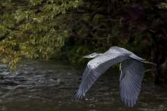 Suchflug ueberm Wasser, Damm, 14 Punkte