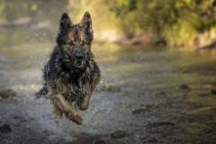 Action Nied, Lessel, 24 Punkte