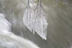 Wasserfall, Schmidt, 19 Punkte