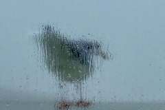 Wasser-2, Schneider, 17 Punkte