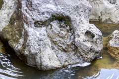 Wasser-3, Schneider, 11 Punkte
