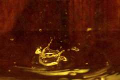 Wasser-4, Schneider, 9 Punkte