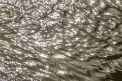 Wasser-5, Schneider, 11 Punkte