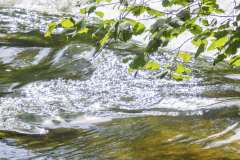 Wasser-6, Schneider, 11 Punkte