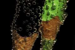 Wasserfarben, Stock, 20 Punkte