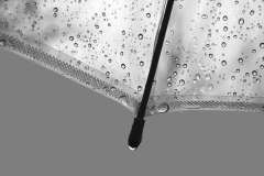 Im Regen, Stock, 21 Punkte